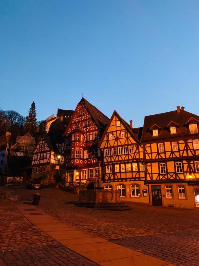 Ferienwohnung Am Brunnen Großheubach المظهر الخارجي الصورة