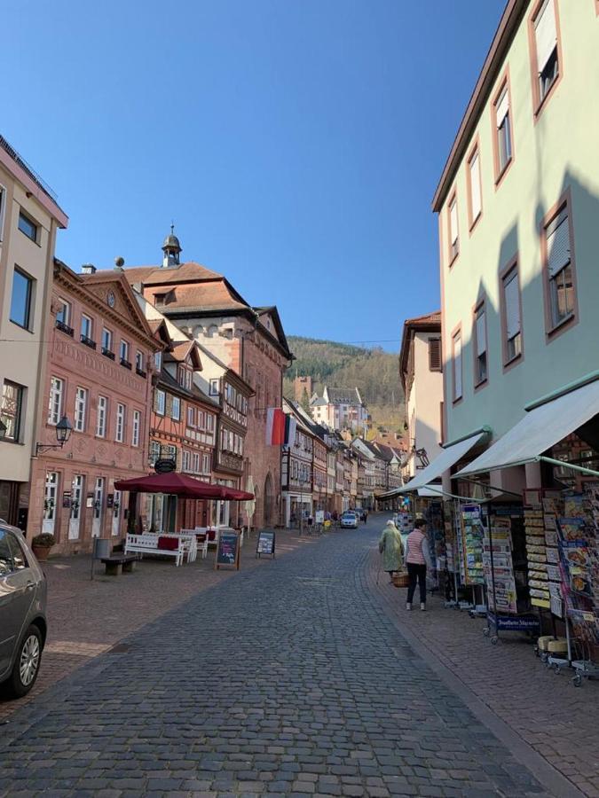 Ferienwohnung Am Brunnen Großheubach المظهر الخارجي الصورة