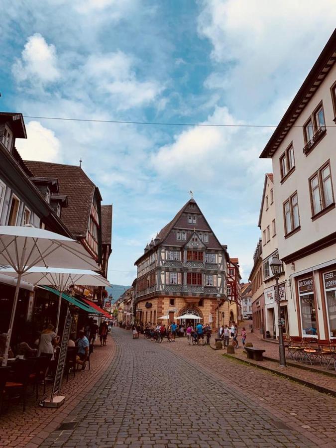 Ferienwohnung Am Brunnen Großheubach المظهر الخارجي الصورة